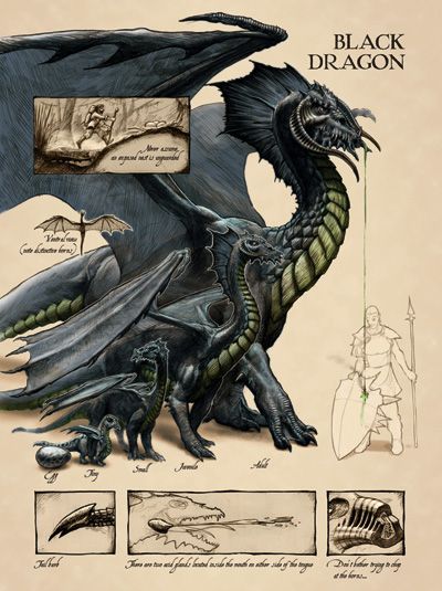 drrak.jpg